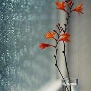 Meet your Posher, Dean